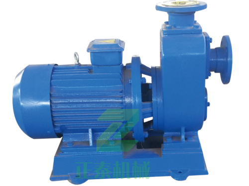 廣東絮凝劑上料泵